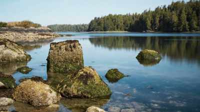 7,000 square miles of extra coastline - Seven Worlds, One Planet