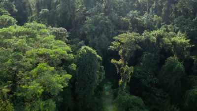 700 million years ago,
our planet was far less colourful. - Attenborough's Life in Colour