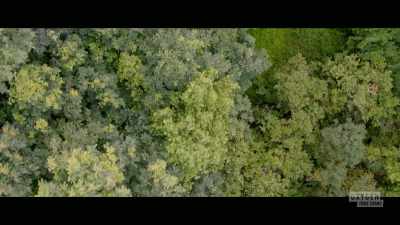  - 911. - The Pike County Murders: A Family Massacre