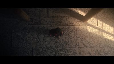 "9201 buttons. - Shadowplay