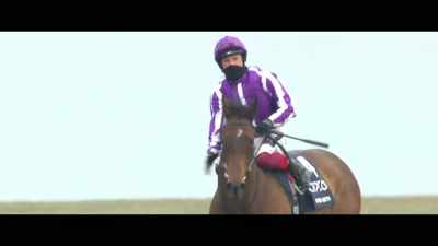 A 50-year-old
has won the 1000 today. - Horsepower
