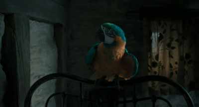 A-Am I talking to an animal,
just like Dolittle? - Dolittle