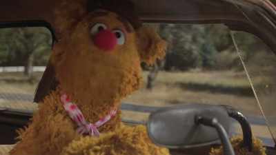 A bear in his natural habitat,
a Studebaker. - Prop Culture