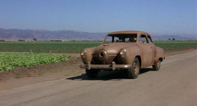 A bear in his natural habitat - The Muppet Movie