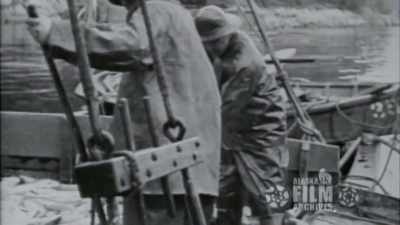 A bear would not be able to
dismember and mutilate a body - The Alaska Triangle