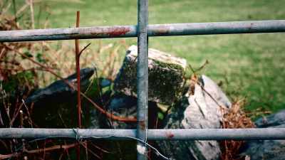 A big,
bloodstained gate from a farmyard - Sophie: A Murder in West Cork