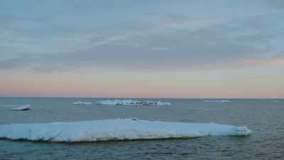 A big flow berg resting 
peacefully ahead caught my eye  - Shackleton: The Greatest Story of Survival