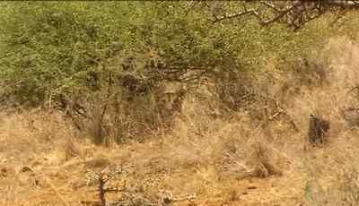 A bit bad. - Man vs. Wild