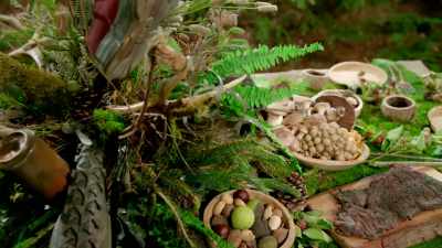 A bounty
of Mother Nature's droppings, - At Home with Amy Sedaris