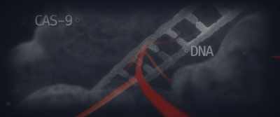 A breakthrough new technology
with limitless capabilities, - Citizen Bio