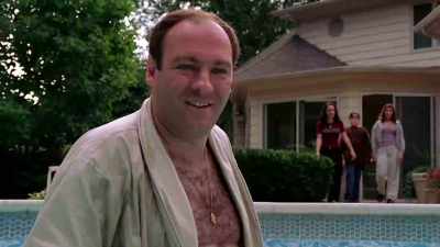 A bunch of ducks come
into a boss's pool. - Wise Guy: David Chase and The Sopranos