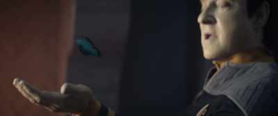 A butterfly
that lives forever... - Star Trek: Picard