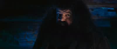 A car crash? - Harry Potter and the Philosopher's Stone