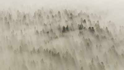 A century ago, predators were
seen as the enemy of progress. - Epic Yellowstone