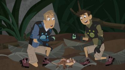A chameleon called Brookesia! - Wild Kratts