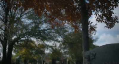 A choice to find the blessings
all around us. - The Exorcist: Believer