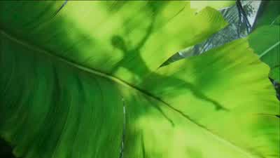 A clean kill You are ready - Avatar