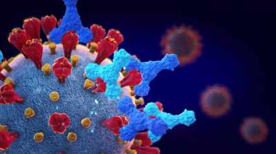A complexidade da elaboração
de proteções duradouras - Race Against Pandemic