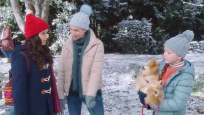"A confident dog
is an adoptable dog." - The Dog Days of Christmas