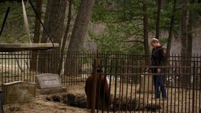 "A coward dies many deaths. - Longmire