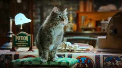 A curse reversed can't be coerced.
The worst! - Scaredy Cats