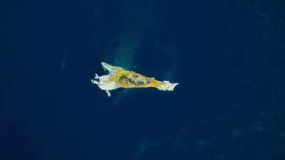 A dead whale,
recently struck by a ship. - Blue Planet II