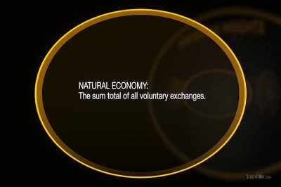 A decentralized,
unsubsidized economy - Thrive II: This Is What It Takes