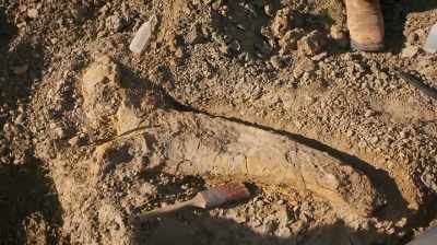 -A DEFLATED HORN.
-WE GOT SKULL GOING HERE, GUYS. - Dino Hunters