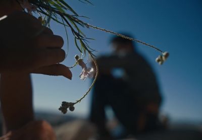 A desert cabin... - The Last Manhunt