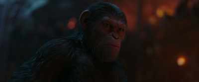 A desert! The journey is long... - War for the Planet of the Apes