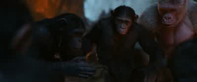 A desert! - War for the Planet of the Apes