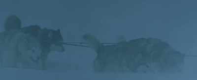  A devil's advocate. - The Great Alaskan Race