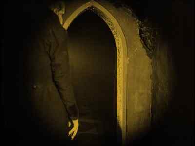 A doctor... a doctor! - Nosferatu