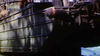 A duck made by General Motors. - The Pacific War in Color