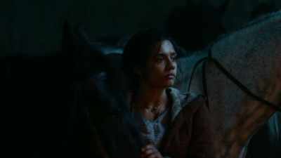 A Fade can force a Trolloc
to do most things, - The Wheel of Time