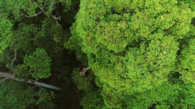 A fall from this height
could be fatal. - Seven Worlds, One Planet