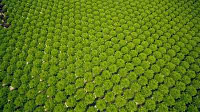 A farmer tending
to a plot of land this size - Europe From Above
