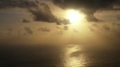'A few hours later, - A Year on Planet Earth