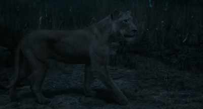 A few of us got away, - Mufasa: The Lion King