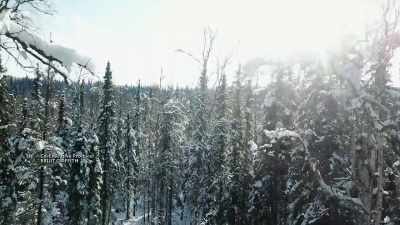 A few years ago, I wouldn't
have even attempted to do - Life Below Zero: Next Generation