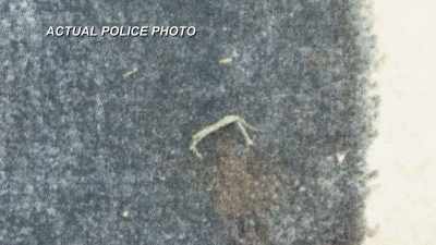 A FINGERNAIL THAT WAS TORN
EMBEDDED INTO THE CARPET - Hometown Homicide