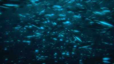 A flash of this bioluminescence
can be used to confuse predators. - Prehistoric Planet