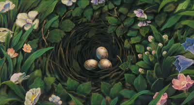 Α flycatcher's nest! - Castle in the Sky
