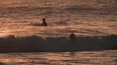 A fourth attack may
hold vital clues. - Shark Attack Files