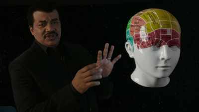 A gift for languages
resided above the cheekbone, - Cosmos: Possible Worlds