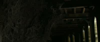 A girl. - Fantastic Beasts and Where to Find Them