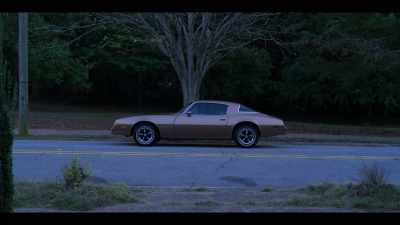 A gold 1976 Pontiac Firebird Esprit! - Sextuplets