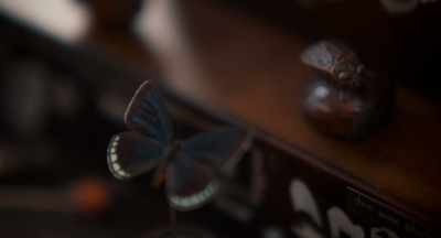 A good start.
You looked a little courageous. - Curiosa
