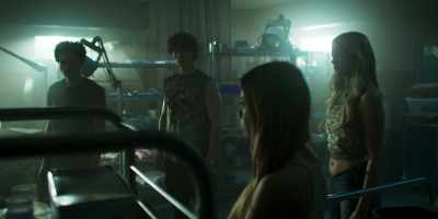 - A gray wolf. - Wolf Pack