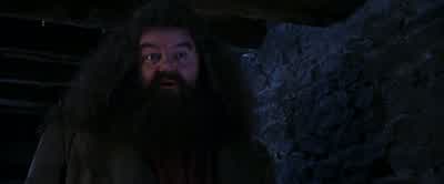 A great Muggle like youis going to stop him? - Harry Potter and the Philosopher's Stone